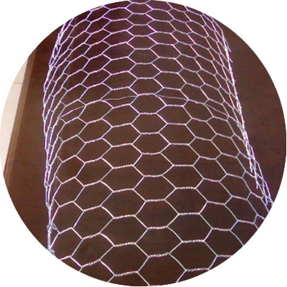 Stainless Steel 304 Hexagonal Wire Mesh